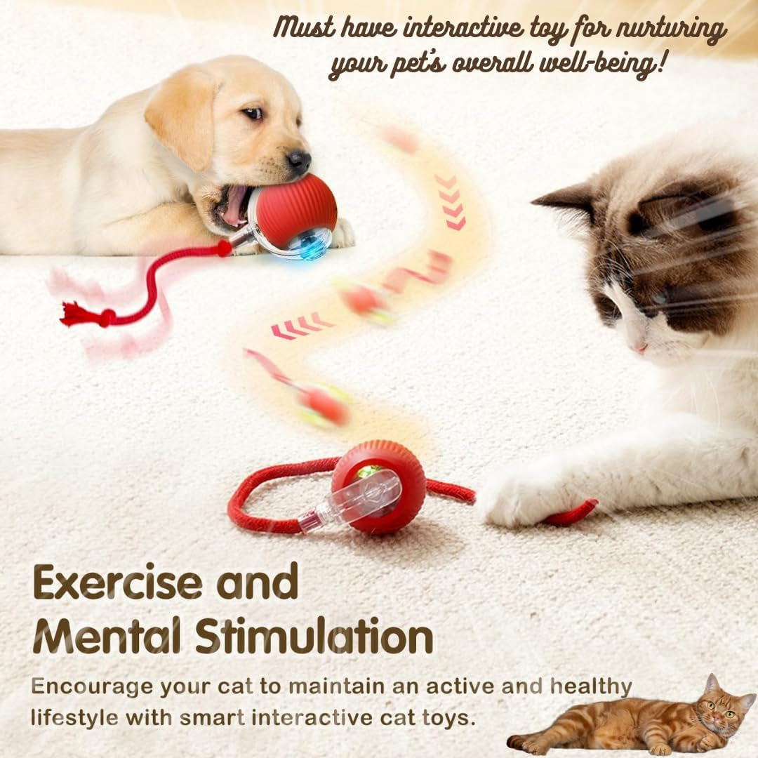 Interactive Electric Automatic Rolling Moving Rechargeable Self Play Stimulation Toy,Smart Pet Chase Ball with Speedy Tail Rope for Bored Indoor Cats Enrichment,Stimulating Dogs Toy Small Dogs (Red)