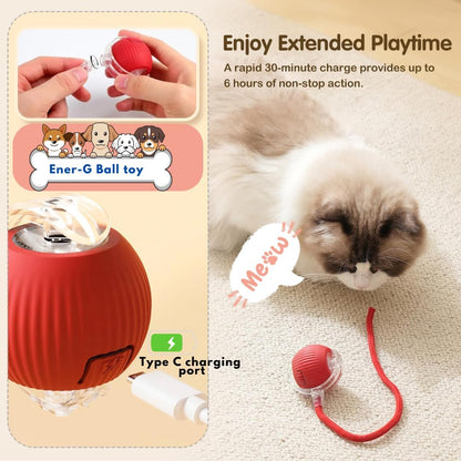 Interactive Electric Automatic Rolling Moving Rechargeable Self Play Stimulation Toy,Smart Pet Chase Ball with Speedy Tail Rope for Bored Indoor Cats Enrichment,Stimulating Dogs Toy Small Dogs (Red)