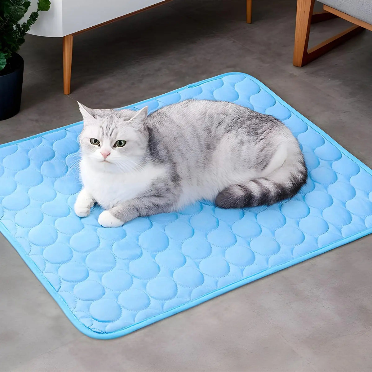 Dog Cooling Mat Ice-Silk Mat Indoor Pet Breathable Washable Pet Cooling Pad for Sofa Floor Kennel Car Seat Camping Travel Beach