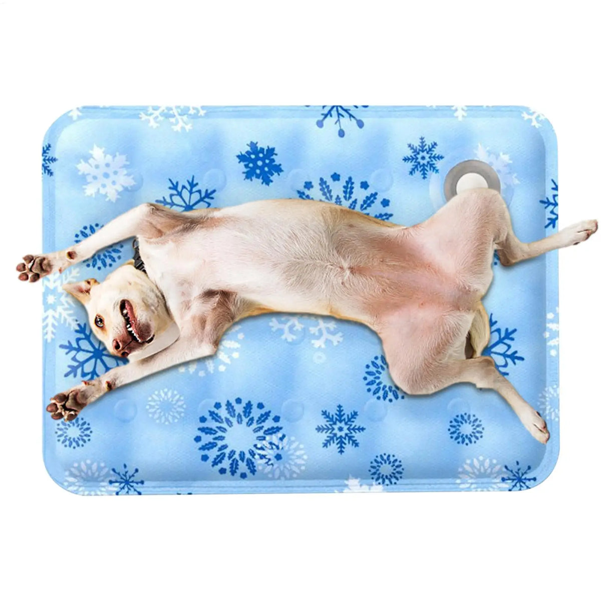 Dog cat Cooling Mat  Water-fill Gel Mat Leakproof Washable Cat Sleeping Cooling Mat For Dog Cat Puppy Kitten Small Animals
