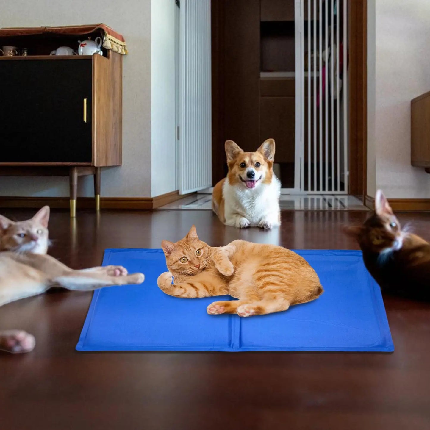 Cooling Mat for Dogs Self Cooling Ice Pad Portable Cats Sleeping Resting Gel Mat for Summer Relaxation Napping Crate Hot Weather