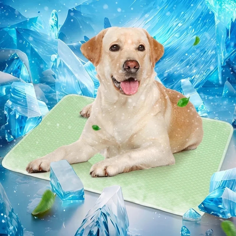 Dog Cooling Mat for Dogs & Cats, Washable Pet Pad with Non-Slip Bottom, Indoor Outdoor Summer Heat Relief, Medium 36X24 Inch, Blue