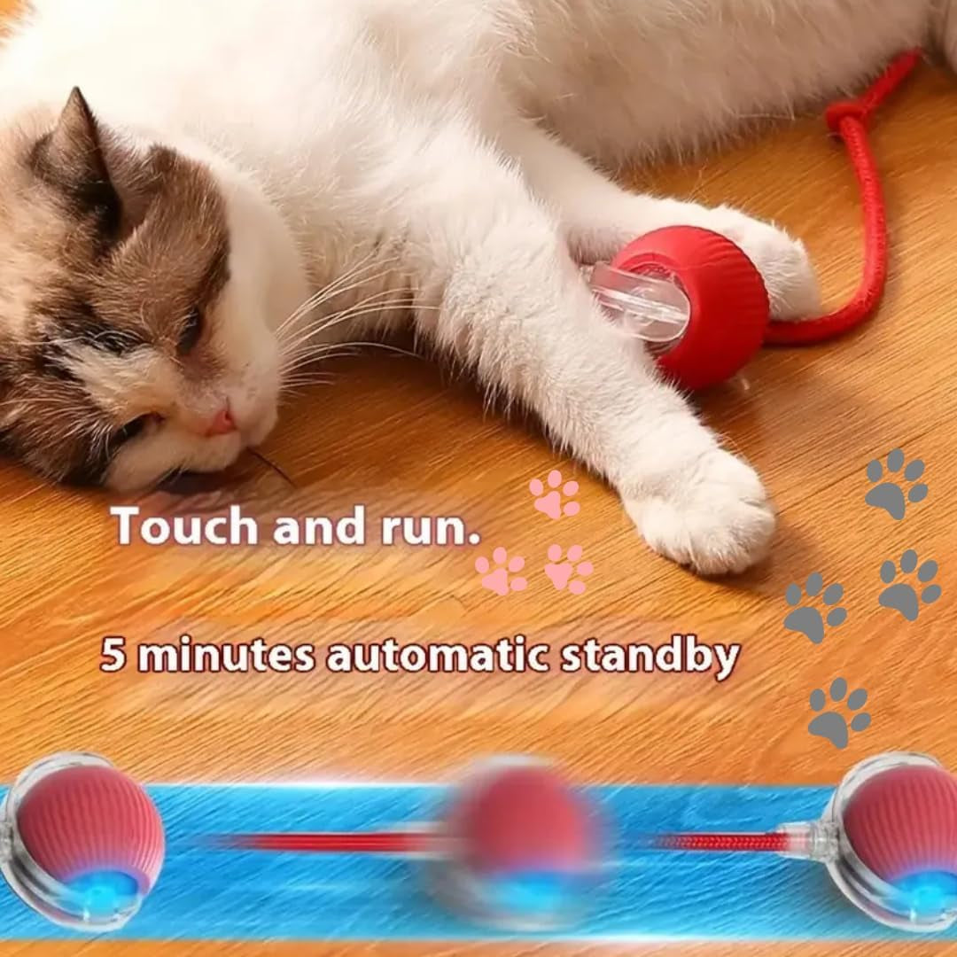 Interactive Electric Automatic Rolling Moving Rechargeable Self Play Stimulation Toy,Smart Pet Chase Ball with Speedy Tail Rope for Bored Indoor Cats Enrichment,Stimulating Dogs Toy Small Dogs (Red)