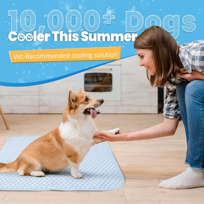 Dog Cooling Mat for Dogs & Cats, Washable Pet Pad with Non-Slip Bottom, Indoor Outdoor Summer Heat Relief, Medium 36X24 Inch, Blue